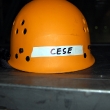 cese